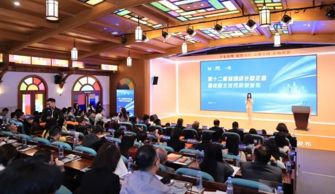 2025深圳“最佳雇主”活动圆满收官 聚才赋能，共探人才新路